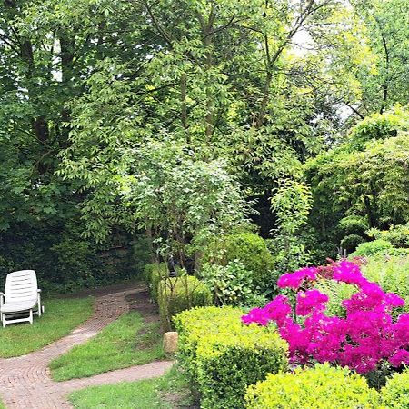 Guesthouse Vakantiehuis In Een Mooie Tuin In Het Centrum Van Zuidlaren! Ngoại thất bức ảnh