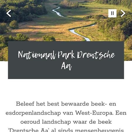 Guesthouse Vakantiehuis In Een Mooie Tuin In Het Centrum Van Zuidlaren! Ngoại thất bức ảnh