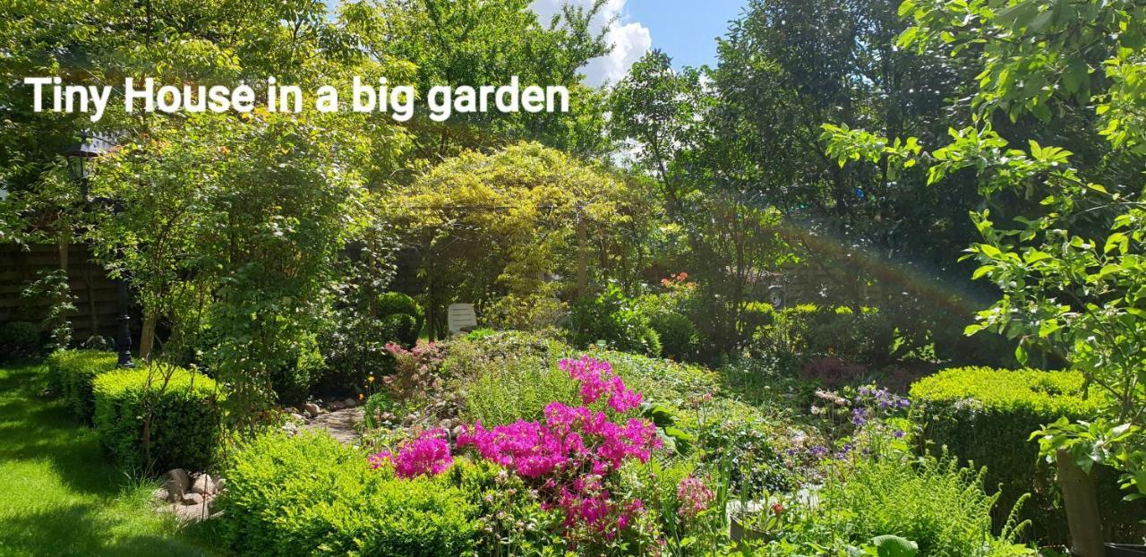Guesthouse Vakantiehuis In Een Mooie Tuin In Het Centrum Van Zuidlaren! Ngoại thất bức ảnh