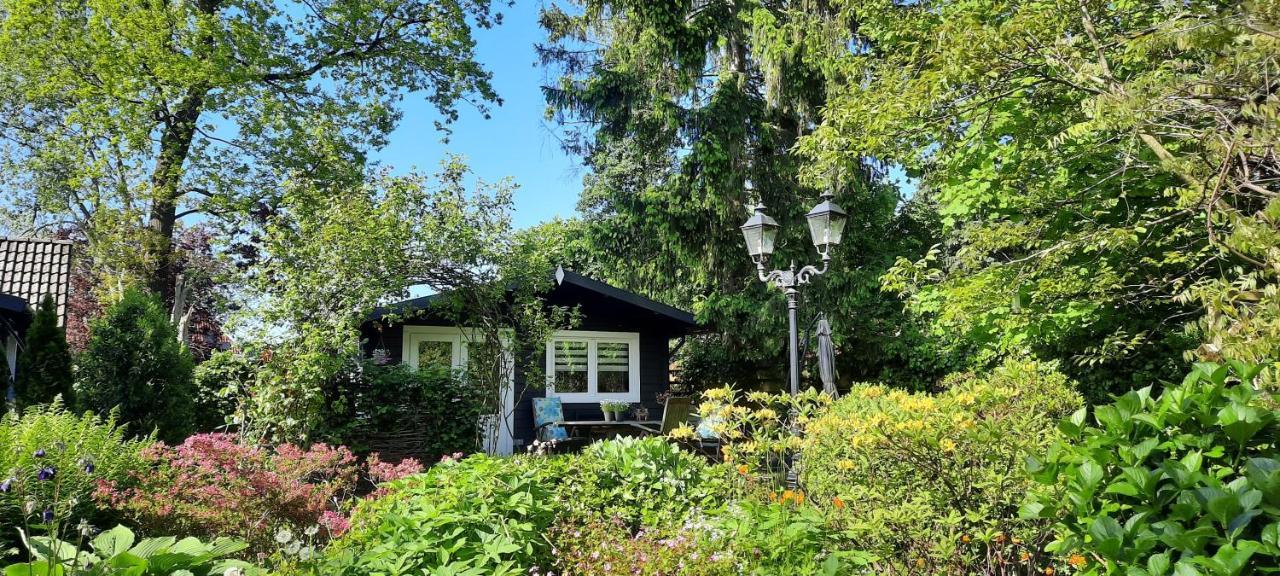 Guesthouse Vakantiehuis In Een Mooie Tuin In Het Centrum Van Zuidlaren! Ngoại thất bức ảnh