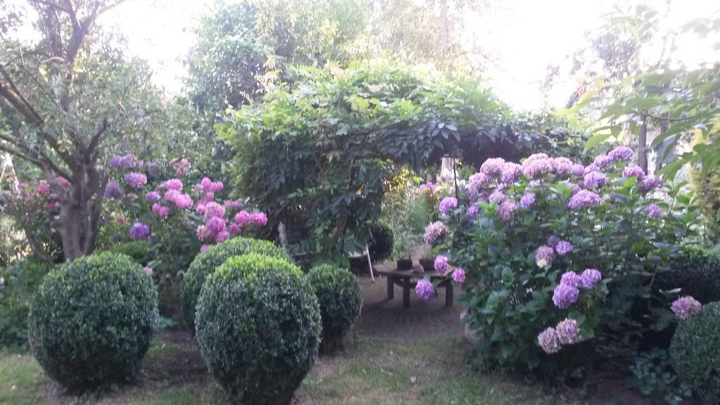 Guesthouse Vakantiehuis In Een Mooie Tuin In Het Centrum Van Zuidlaren! Ngoại thất bức ảnh